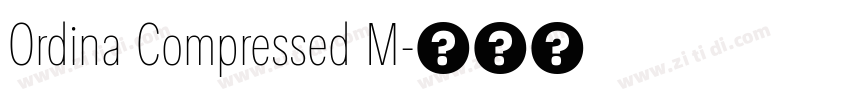 Ordina Compressed M字体转换